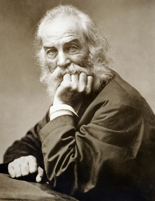 Walt Whitman (1819-1892). /Namerican Poet. Photographed In 1876. Poster Print by Granger Collection - Item # VARGRC0067246