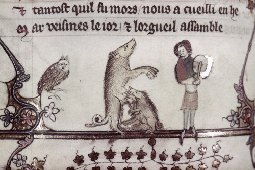 Dancing Pig, 14Th Century. /Na Performing Sow With A Litter Of Piglets. Detail Of An Illumination By Jehan De Grise In The 'Romance Of Alexander,' C1340. Poster Print by Granger Collection - Item # VARGRC0116864