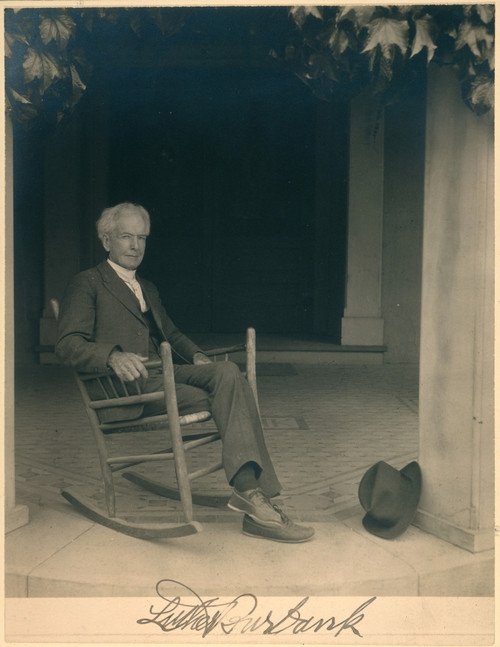 Luther Burbank (1849-1926). /Namerican Horticulturist. Photographed C1922. Poster Print by Granger Collection - Item # VARGRC0035740