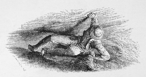 Mountaineer, 19Th Century. /Ncrossing A Crevasse. Wood Engraving, 19Th Century. Poster Print by Granger Collection - Item # VARGRC0096577