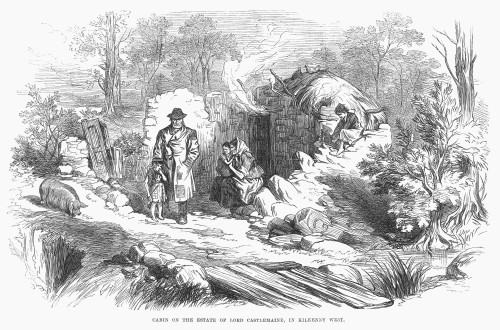 Ireland: Cabin, 1870. /Na Tenant'S Cabin On The Estate Of Lord Castlemaine, In Kilkenny West. Wood Engraving, English, 1870. Poster Print by Granger Collection - Item # VARGRC0089471