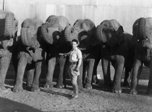 Clyde Beatty (1903-1965). /Namerican Animal Tamer. Posing With Elephants In The 1930S. Poster Print by Granger Collection - Item # VARGRC0091786