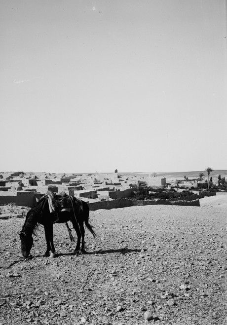 Jordan: Ma'An, C1910. /Na View Of Ma'An, Jordan. Photograph, C1910. Poster Print by Granger Collection - Item # VARGRC0395121