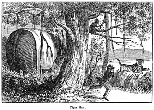 Hunting: Tiger. /Na Tiger Hunt In India. Wood Engraving, 19Th Century. Poster Print by Granger Collection - Item # VARGRC0081076