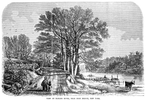 Harlem High Bridge, 1854. /Nthe High Bridge Over The Harlem River, New York. Wood Engraving, American, 1854. Poster Print by Granger Collection - Item # VARGRC0354190