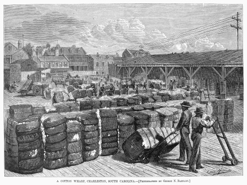 Charleston: Cotton Wharf./Na Cotton Wharf At Charleston, South Carolina./Nwood Engraving, American, 1878. Poster Print by Granger Collection - Item # VARGRC0088880 Charleston: Cotton Wharf./Na Cotton Wharf At Charleston, South Carolina./Nwood Engraving, American, 1878. Poster Print by Granger Collection - Item # VARGRC0088880
