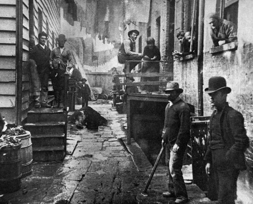 Riis: Bandits' Roost, 1887. /Nan Alley At 59 Mulberry Street In New York City. Photographed By Jacob Riis, C1887. Poster Print by Granger Collection - Item # VARGRC0038629