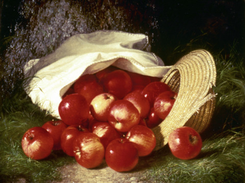 Dunning: Apples, 1869. /N'Apples.' Still Life Painting By Robert Spear Dunning, 1869. Poster Print by Granger Collection - Item # VARGRC0133637