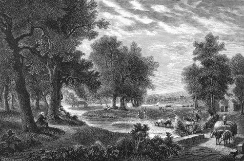Long Island, 1873. /Nscene On Long Island, New York. Wood Engraving, 1873. Poster Print by Granger Collection - Item # VARGRC0082581