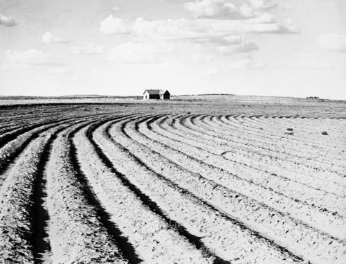 Texas: Farmhouse, 1938. /Nan Abandoned Farmhouse On A Texas Farm. Photograph By Dorothea Lange, 1938. Poster Print by Granger Collection - Item # VARGRC0041243