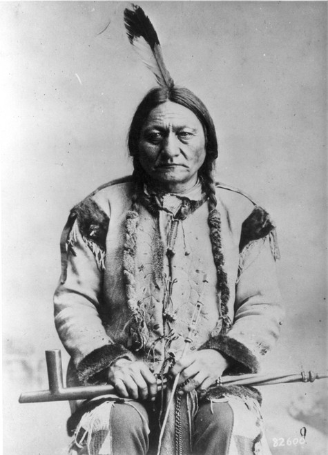 Sitting Bull (C1831-1890). /Nsioux Native American Leader. Poster Print by Granger Collection - Item # VARGRC0004146