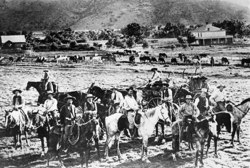 New Mexico: Cattle Ranch. /Ncowboys On A Ranch Owned By The Prairie Cattle Co. Ltd. In Dry Cimarron, New Mexico. Photograph, C1900. Poster Print by Granger Collection - Item # VARGRC0259443