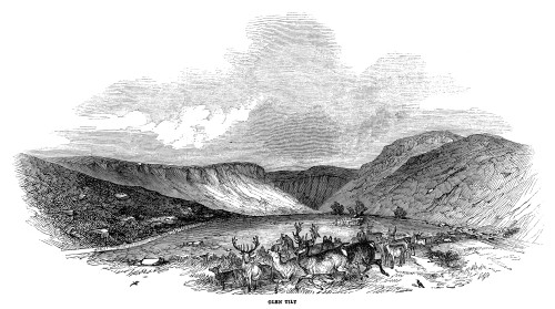 Scotland: Glen Tilt, 1844. /Nglen Tilt, A Glen In Perthshire, Scotland. Engraving, English, 1844. Poster Print by Granger Collection