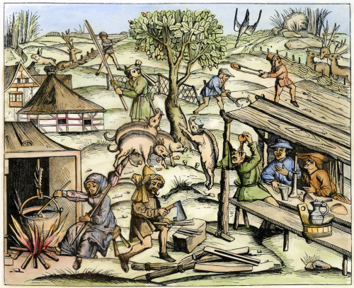France: Daily Life, 1517. /Ncountry Life. Woodcut, French, 1517. Poster Print by Granger Collection - Item # VARGRC0082661 France: Daily Life, 1517. /Ncountry Life. Woodcut, French, 1517. Poster Print by Granger Collection - Item # VARGRC0082661