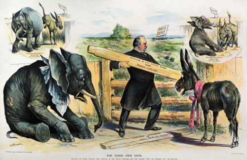 G. Cleveland Cartoon, 1895. /Ngrover Cleveland Depicted As The Champion Of Civil Service Reform In An 1895 Cartoon By J.S. Pughe. Poster Print by Granger Collection - Item # VARGRC0011293