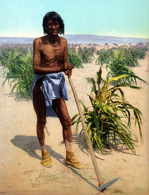 Hopi Farmer, C1902. /Na Hopi Man With A Hoe In A Cornfield In Arizona. Photochrome, American, C1902. Poster Print by Granger Collection - Item # VARGRC0109428