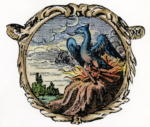 Phoenix, 1702. /Nthe Phoenix Rising From Its Ashes, The Christian Symbol Of Resurrection. Line Engraving From Boschius' 'Ars Symbolica,' Augsburg, 1702. Poster Print by Granger Collection - Item # VARGRC0044166