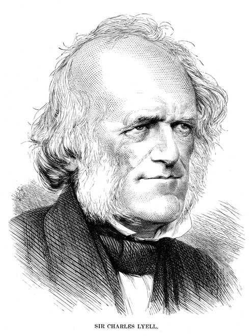 Sir Charles Lyell /N(1797-1875). British Geologist. Line Engraving, 1872. Poster Print by Granger Collection - Item # VARGRC0031634