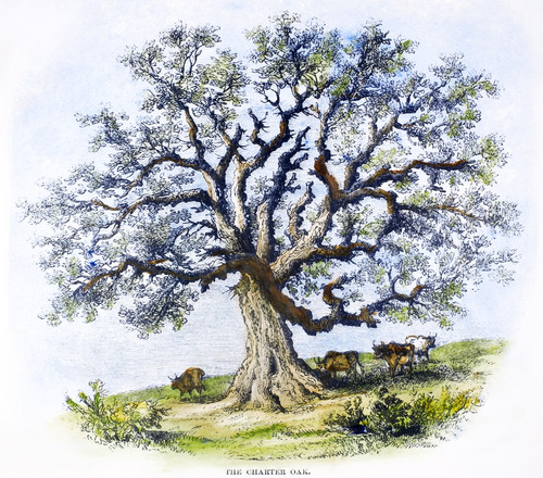 Hartford: Charter Oak. /Nthe Charter Oak At Hartford, Connecticut, Where Connecticut Colonists Hid The Colonial Charter From Governor Edmund Andros In 1687. Wood Engraving, 1862. Poster Print by Granger Collection - Item # VARGRC0083683