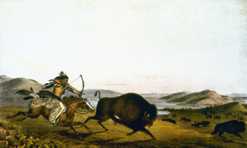 Buffalo Hunt, C1830. /Nlithograph, C1836, After A Painting, C1830, By Peter Rindisbacher. Poster Print by Granger Collection - Item # VARGRC0022379