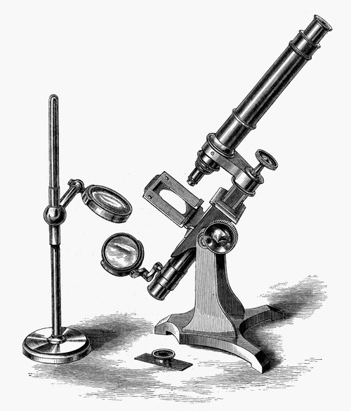 Achromatic Mircoscope. /N19Th Century Line Engraving. Poster Print by Granger Collection - Item # VARGRC0096291