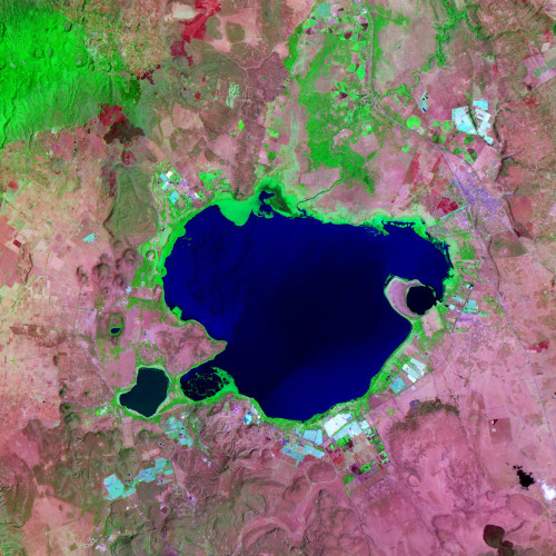 Lake Naivasha, Kenya Poster Print by Science Source - Item # VARSCIBK2823