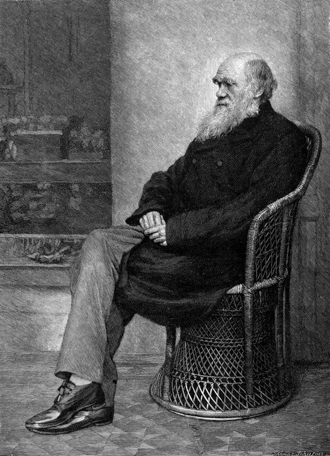 Charles Robert Darwin /N(1809-1882). English Naturalist. Wood Engraving After A Photograph. Poster Print by Granger Collection - Item # VARGRC0033681 Charles Robert Darwin /N(1809-1882). English Naturalist. Wood Engraving After A Photograph. Poster Print by Granger Collection - Item # VARGRC0033681
