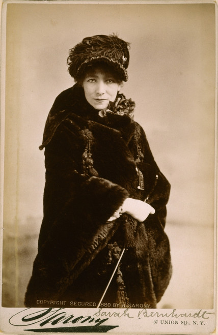 Sarah Bernhardt (1844-1923) /Nphotographed, 1880, In New York By Napoleon Sarony. Poster Print by Granger Collection - Item # VARGRC0052956