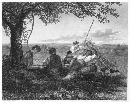 Noonday. /Nsteel Engraving, American, 19Th Century, After The Painting By William Sidney Mount, 1836. Poster Print by Granger Collection - Item # VARGRC0092938