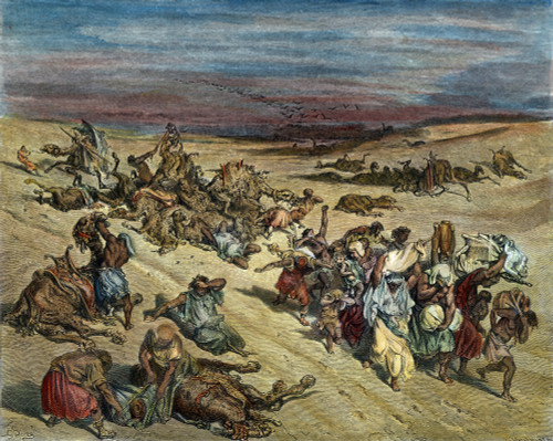 Fifth Plague: Murrain. /Nthe Fifth Plague Is Sent Against The Egyptians, Causing Their Animals To Die Of Murrain (Exodus 9: 2,3). Wood Engraving After Gustave Dor_. Poster Print by Granger Collection - Item # VARGRC0049755