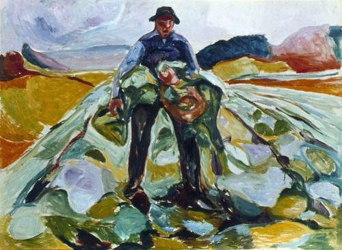 Munch: Cabbage Field, 1916. /N'Man In The Cabbage Field.' Oil On Canvas By Edvard Munch, 1916. Poster Print by Granger Collection - Item # VARGRC0352648