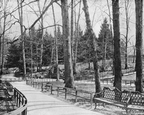 Baltimore: Druid Hill. /Ndruid Hill Park In Baltimore, Maryland. Photograph, C1890. Poster Print by Granger Collection - Item # VARGRC0353466