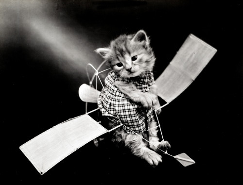 The Aviator, 1914 Poster Print by Science Source - Item # VARSCIJB6423