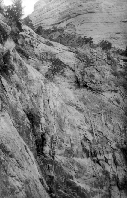 Grand Canyon: Cliffs. /Nladders Leading To Cliff Dwellings In The Grand Canyon In Arizona. Photographed C1913. Poster Print by Granger Collection - Item # VARGRC0128892