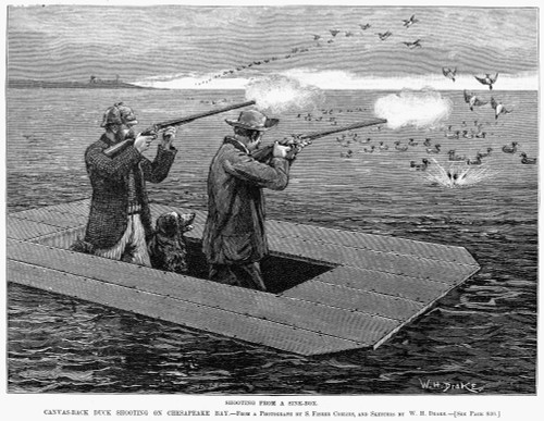 Duck Hunting, 1888. /Ncanvas-Back Duck Shooting On Chesapeake Bay. Line Engraving, American, 1888. Poster Print by Granger Collection - Item # VARGRC0037658