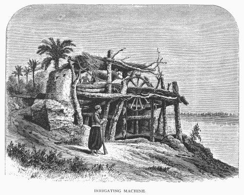 Egypt: Irrigation. /Nan Irrigation Machine At The Nile River In Egypt. Line Engraving, 19Th Century. Poster Print by Granger Collection - Item # VARGRC0102149