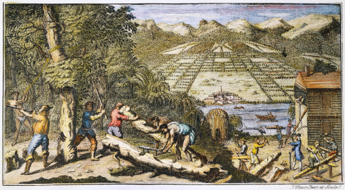 View Of Savannah, Georgia. /Nan Imaginative View Of Savannah, Georgia, But Showing Colonial Construction Methods In Accurate Detail. English Engraving, 1733. Poster Print by Granger Collection - Item # VARGRC0009912