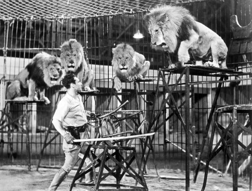 Lion Tamer, 1930S. /Nclyde Beatty, Animal Tamer, Performing In The 1930S. Poster Print by Granger Collection - Item # VARGRC0018476