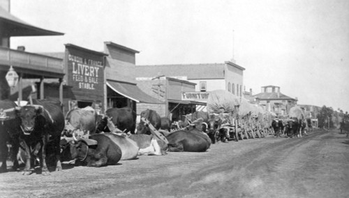 Dakota Territory, C1888. /Nminers' Ox Teams At Sturgis, Dakota Territory, In The Black Hills Region Of Present-Day South Dakota, Northeast Of Deadwood: Photograph, C1888, By J.C.H. Grabill. Poster Print by Granger Collection - Item # VARGRC0034941 Dakota Territory, C1888. /Nminers' Ox Teams At Sturgis, Dakota Territory, In The Black Hills Region Of Present-Day South Dakota, Northeast Of Deadwood: Photograph, C1888, By J.C.H. Grabill. Poster Print by Granger Collection - Item # VARGRC0034941