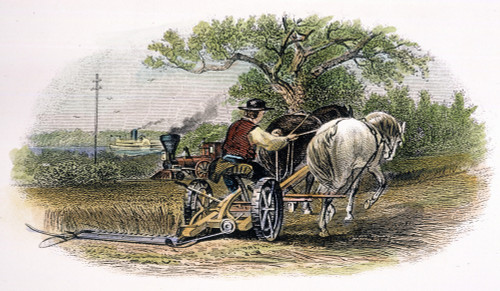 American Farm Scene. /Nsteel Engraving, C1870. Poster Print by Granger Collection - Item # VARGRC0042965