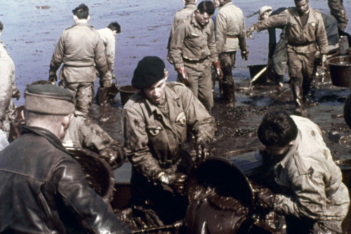 Water Pollution. /Ncleanup Efforts On A French Beach After An Oil Spill At Sea. Photograph, C1970. Poster Print by Granger Collection - Item # VARGRC0066612