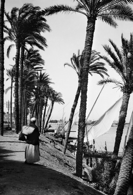Egypt: Cairo. /Na Man Standing On The Bank Of The Nile River, With Boats Docked Along The Shoreline. Stereograph, Early 20Th Century. Poster Print by Granger Collection - Item # VARGRC0120176