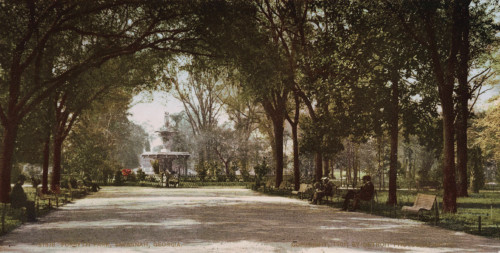 Georgia: Savannah, C1901. /Nforsyth Park In Savannah, Georgia. Photochrome, C1901. Poster Print by Granger Collection - Item # VARGRC0186387