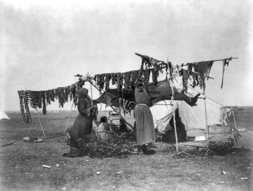 Dakota: Drying Meat, C1908. /Ntwo Dakota Women Drying Meat On Poles. Photograph By Edward Curtis, C1908. Poster Print by Granger Collection - Item # VARGRC0113833