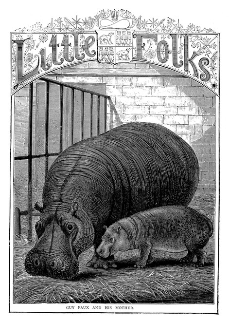 Hippopotamus. /Nbaby Hippopotamus And Mother At The London Zoological Gardens. Wood Engraving, 1870S. Poster Print by Granger Collection - Item # VARGRC0067238
