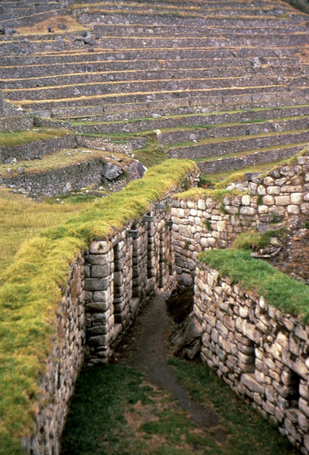 Peru: Machu Picchu. /Nruins Of Machu Picchu, The 15Th Century Inca City. Poster Print by Granger Collection - Item # VARGRC0025665