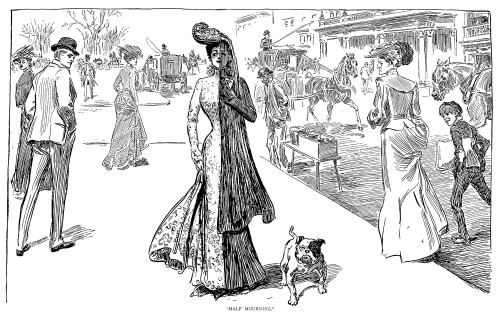 Gibson: Half Mourning. /N'Half Mourning.' Pen And Ink Drawing By Charles Dana Gibson, 1908. Poster Print by Granger Collection - Item # VARGRC0002323