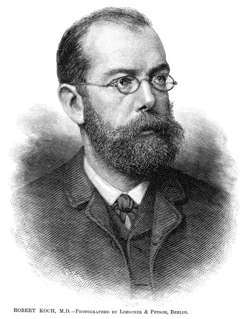 Robert Koch (1843-1910). /Ngerman Physician And Bacteriologist. Wood Engraving From An American Newspaper Of 1884. Poster Print by Granger Collection - Item # VARGRC0038323