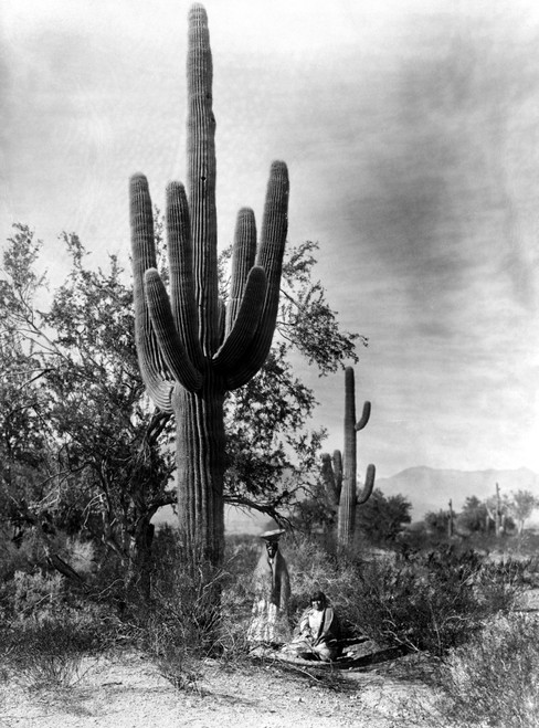 Saguaro Fruit Gatherers. /Ntwo Pima Women Gathering Fruit From A Saguaro Cactus In The Arizona Desert. Photographed By Edward S. Curtis, C1907. Poster Print by Granger Collection - Item # VARGRC0109419