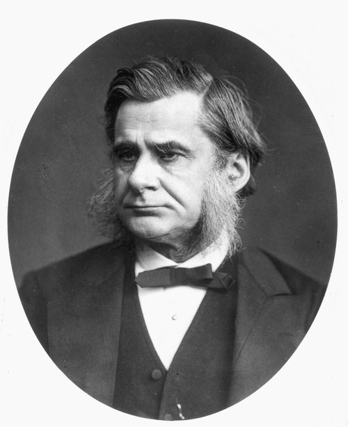 Thomas Henry Huxley /N(1825-1895). English Biologist. Photographed C1880. Poster Print by Granger Collection - Item # VARGRC0029821 Thomas Henry Huxley /N(1825-1895). English Biologist. Photographed C1880. Poster Print by Granger Collection - Item # VARGRC0029821